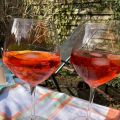 Aperol met Gin-Tonic