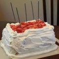 Strawberry shortcake van Petra
