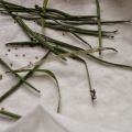 Stokrozen en nog meer rucola
