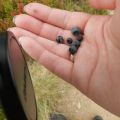 Tips voor wandelen met kinderen