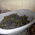 Druivenjam maken deel 2