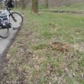 Op het eerste gezicht … in de berm (2)