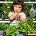 Tips: Growing organic vegetable & hurbs