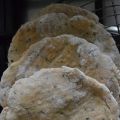 pop-up pita's  - pop-up pitas (GF-DF-V)