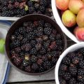 Bramenjam