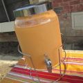 Tropische sinaasappel-guave limonade