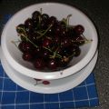 Fruittestje