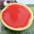 Recept: Watermeloen gelei blokjes en Youtube[...]
