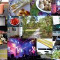 DIARY : week 15