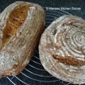 Zuurdesembrood met tarwe- en speltkorrels /[...]