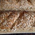 Volkoren spelt