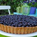 Blueberry Daydream