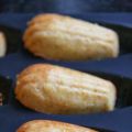 Madeleines!