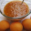 Eenvoudige abrikozencompote