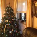 My life in pictures - december 2014 #1