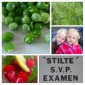 Column Lisette, 17 juli 2013
