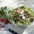 Salade van postelein en radijs