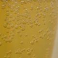 Homemade cola