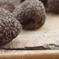 truffel risottotaart