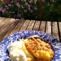 Peren-abrikozencrumble