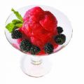 Sorbet