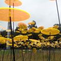 Geel - Floriade (2)