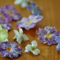 Eetbare bloemen -viooltjes en primula's-[...]