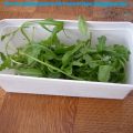 Rucola bewaren