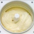 Bourbon vanilla ice cream (vanille-ijs)