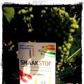Vakantietip: Smaakstof