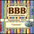 Bread Baking Babes: Viva Mexico