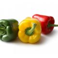 Gevulde paprika
