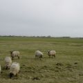 Overzicht vaste lasten 2016