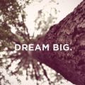 DREAM BIG - doelen 2014.