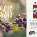 Hero Cassis