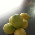 Limoncello Check, Nu de zomer nog!