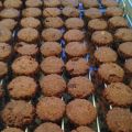 Raw chocolade koekjes