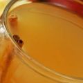 Warme appelsap