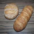 6e Broodbakcusus @ Levine