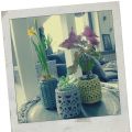 bloempotjes haken
