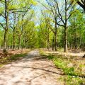 8 tips voor meer rust in je leven