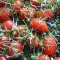 Hartige clafoutis met tomaat