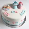 GENDER REVEAL CAKE: HE OR SHE? OPEN TO SEE...