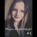 Mijn dagboekje #1