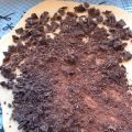 Brioche met chocoladespiraal