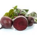 Oud hollandse kost blijkt superfood!!