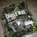 Cavalo nero