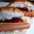 Fast winter food: vega hotdogs