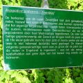 Geeraerdtscruyt