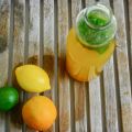 homemade lemonade : citroen, limoen & appelsien